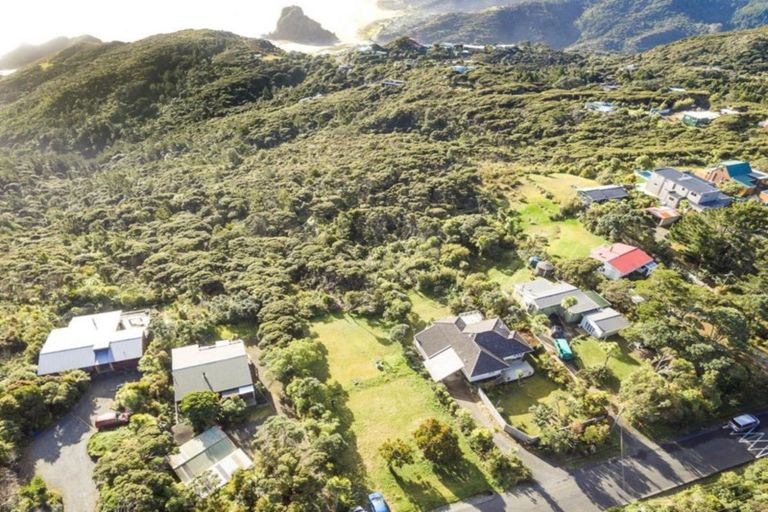 Photo of property in 19 Te Ahuahu Road, Piha, 0772