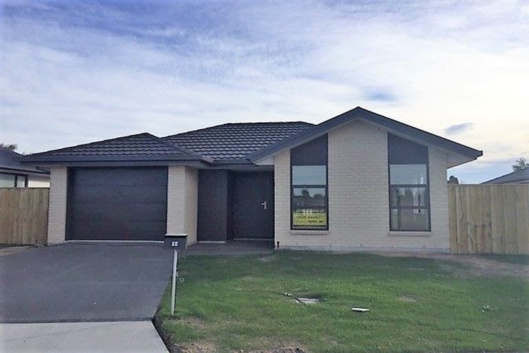 Photo of property in 21 Minerva Crescent, Woodend, 7610