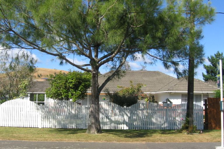 Photo of property in 44 Gillespies Road, Birchville, Upper Hutt, 5018