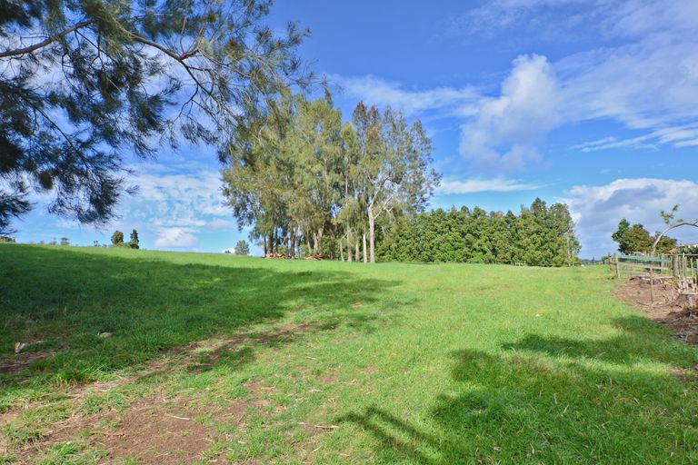 Photo of property in 217 Apotu Road, Kauri, 0185