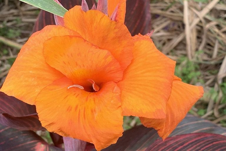 Photo of property in 1665 Matapouri Road, Matapouri, Whangarei, 0173