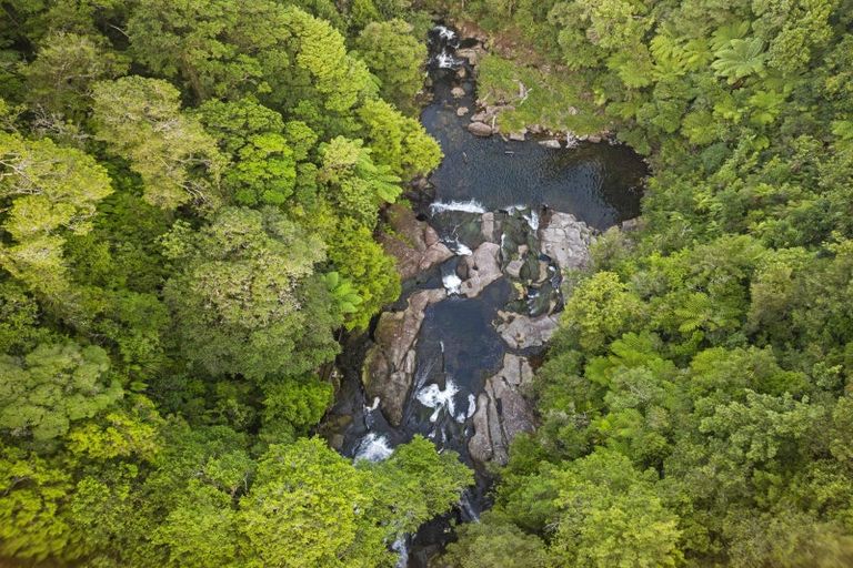 Photo of property in 236a Tim Road, Whakamarama, Tauranga, 3180