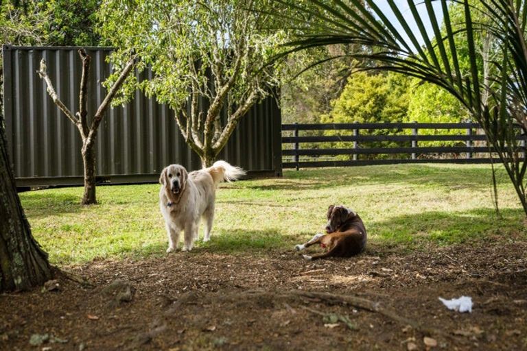 Photo of property in 1629a Ponga Road, Hunua, Papakura, 2584