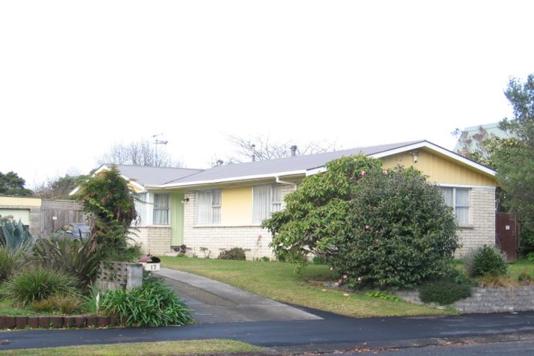 Photo of property in 17 Mcdowall Place, Queenwood, Hamilton, 3210