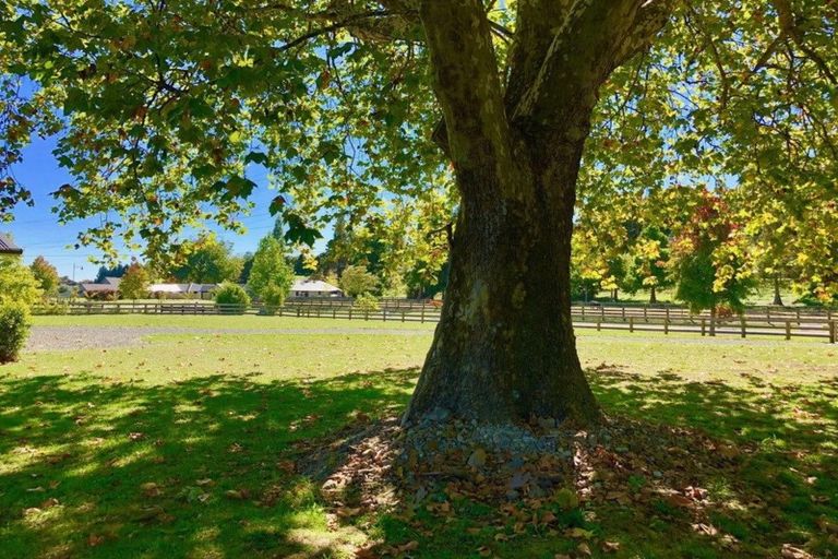 Photo of property in 15 Riverside Lane, Karapiro, Cambridge, 3494