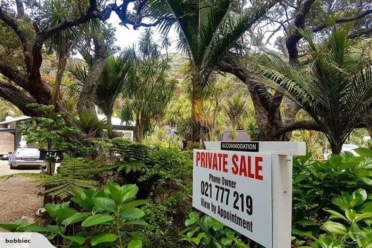 Photo of property in 54 Beach Valley Road, Piha, New Lynn, 0772