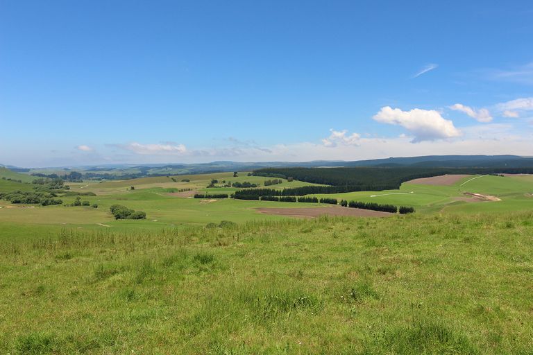 Photo of property in 433 Kauru Hill Road, Incholme, Oamaru, 9492