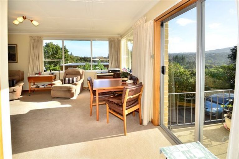 Photo of property in 17a Signal Hill Road, Opoho, Dunedin, 9010