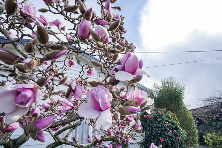 Photo of property in 102 Ross Street, Grasmere, Invercargill, 9810