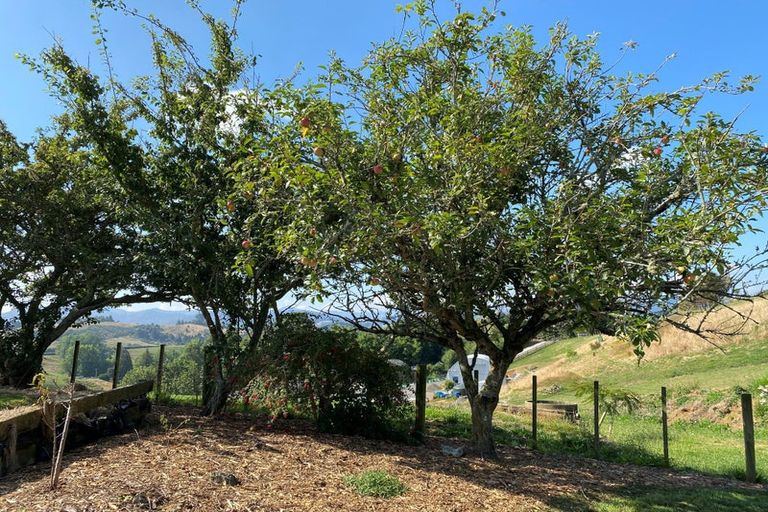 Photo of property in 102 Kennedy Road, Waikino, Waihi, 3682