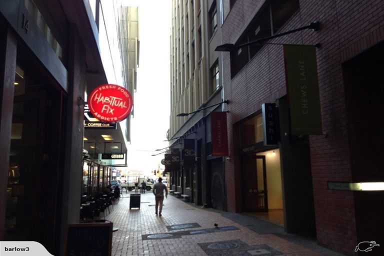 Photo of property in 9 Chews Lane, Wellington Central, Wellington, 6011