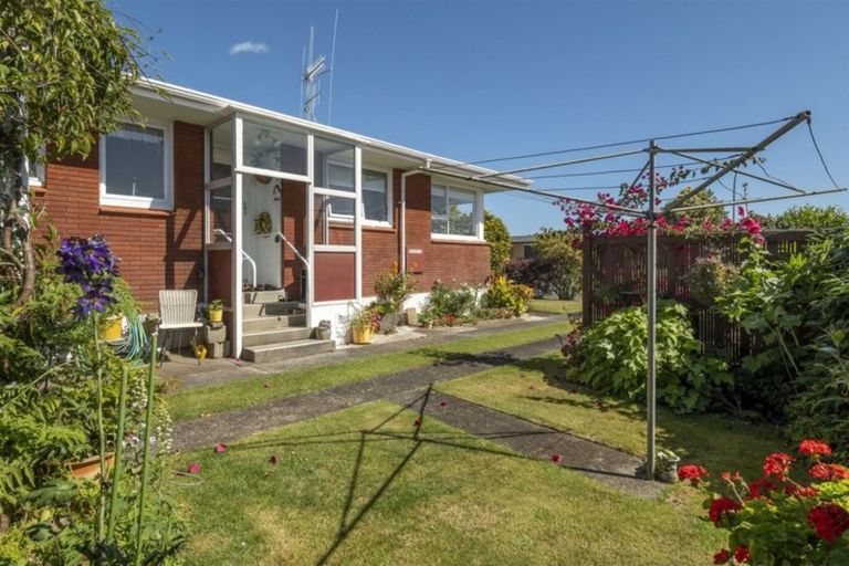 Photo of property in 14 Ridge Street, Otumoetai, Tauranga, 3110