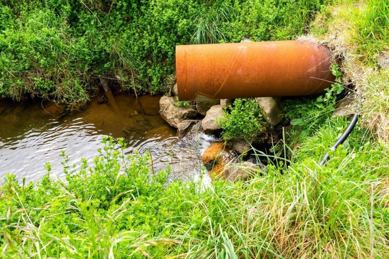 Photo of property in 32 Davis Road, Waiongana, Inglewood, 4389