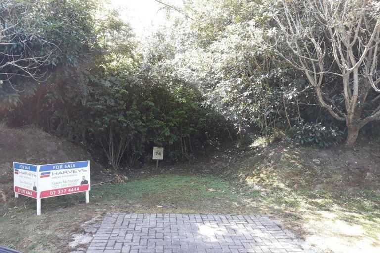 Photo of property in 56 Parawera Drive, Acacia Bay, Taupo, 3330