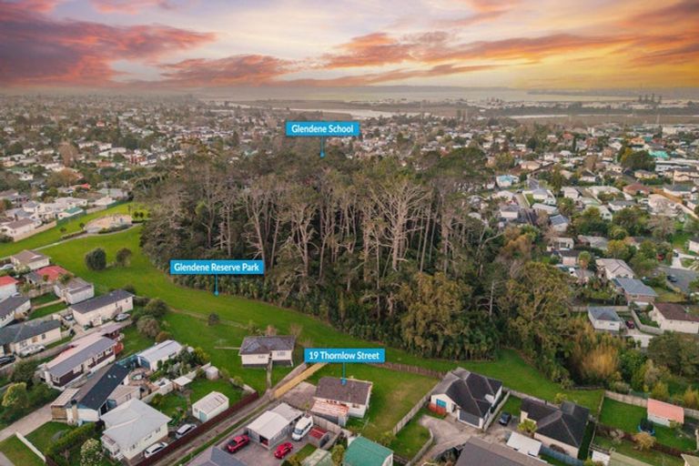 Photo of property in 19 Thornlow Street, Glendene, Auckland, 0602