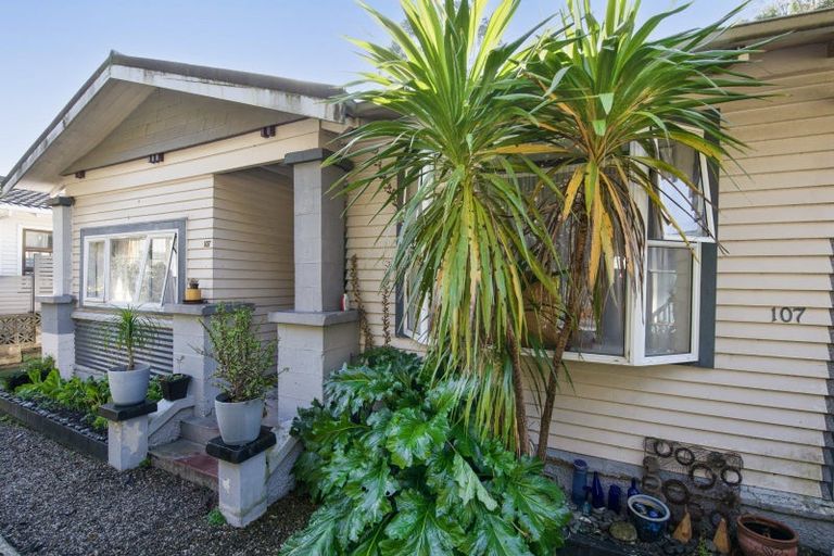 Photo of property in 107 Milton Road, Bluff Hill, Napier, 4110
