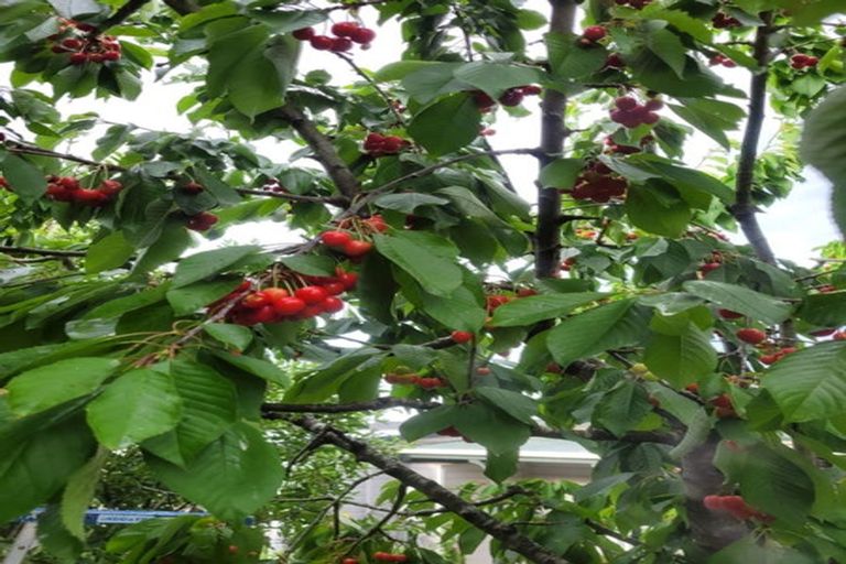 Photo of property in 44 Woolshed Road, Reidston, Oamaru, 9492