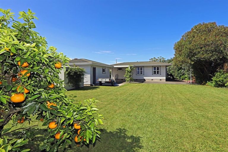 Photo of property in 309 Collinge Road, Mayfair, Hastings, 4122