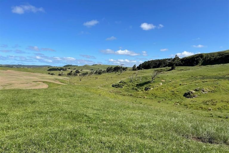 Photo of property in 429 Te Akau South Road, Te Akau, Ngaruawahia, 3793