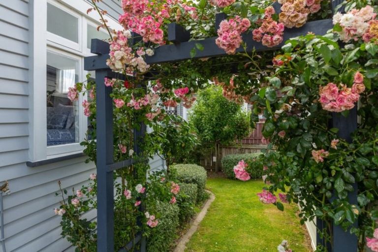 Photo of property in 137 Hospital Road, Witherlea, Blenheim, 7201