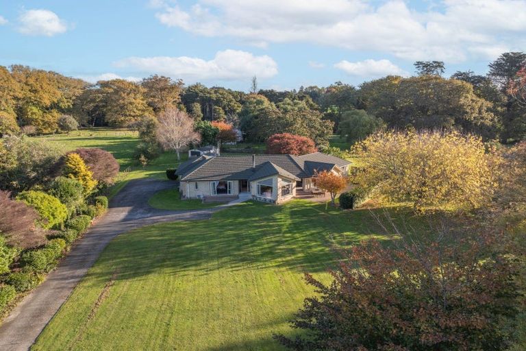 Photo of property in 81b Horrell Road, Morrinsville, 3374