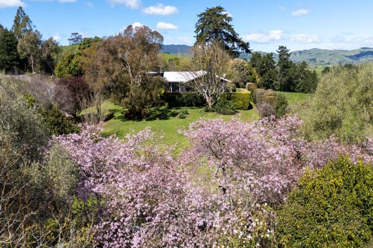Photo of property in 229 Norwegian Road, Rotoorangi, Cambridge, 3495