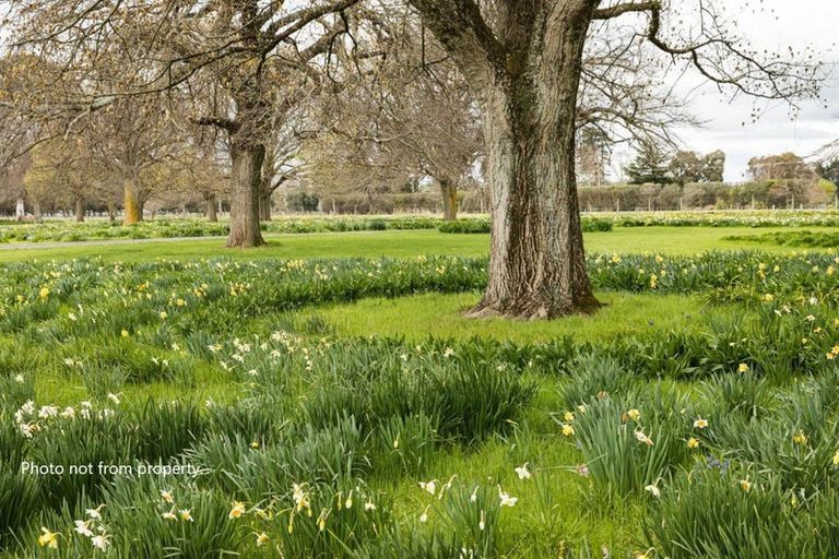 Photo of property in 109d Kyle Road, Waipukurau, 4281