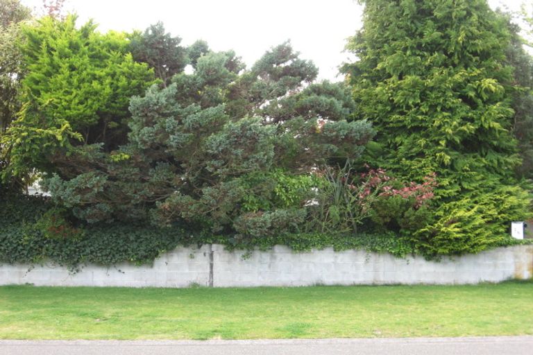 Photo of property in 36 Rimu Street, Taupo, 3330