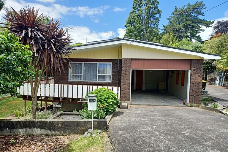 Photo of property in 100a The Terrace, Thames, 3500