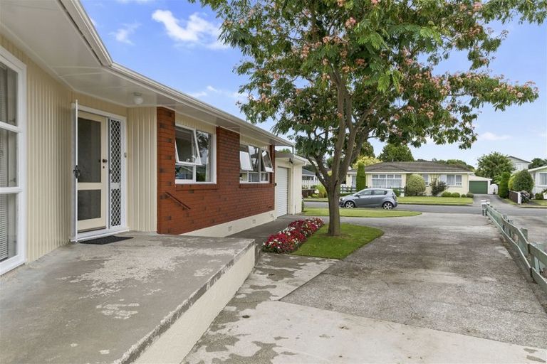 Photo of property in 19 Burn Street, Levin, 5510