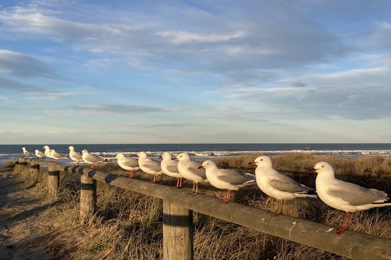 Photo of property in 2/272 Marine Parade, New Brighton, Christchurch, 8061