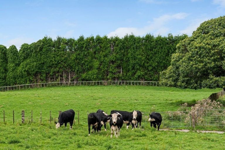 Photo of property in 579 Belk Road, Omanawa, Tauranga, 3171