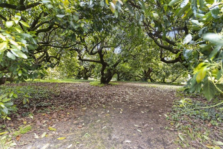 Photo of property in 348 Manoeka Road, Te Puke, 3183