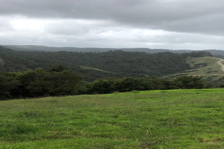 Photo of property in 283 J Tolhopf Road, Makarau, Warkworth, 0981