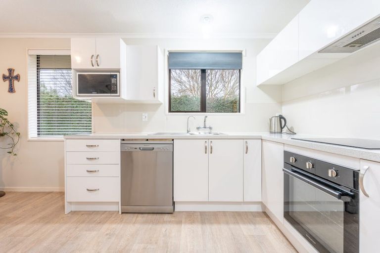 Photo of property in 115 Main North Road, Geraldine, 7930