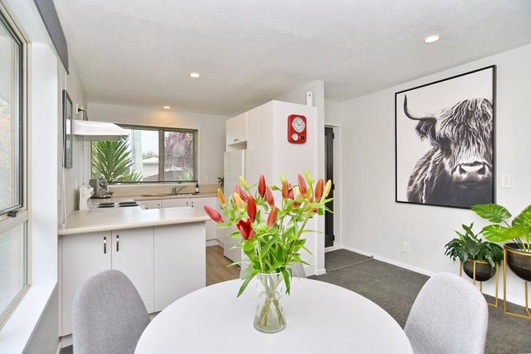 Photo of property in 4 Darroch Street, Belfast, Christchurch, 8051