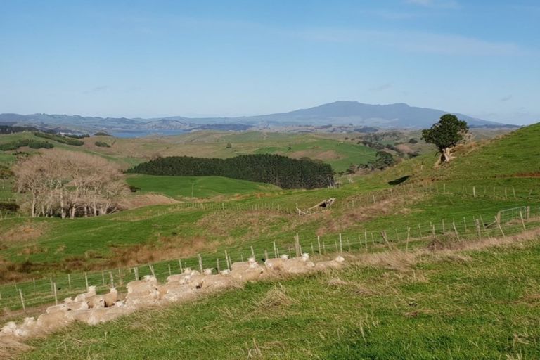 Photo of property in 169 Halliday Road, Waingaro, Ngaruawahia, 3793