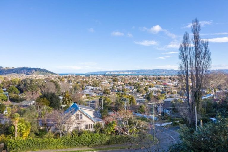 Photo of property in 184 Ballance Street, Whataupoko, Gisborne, 4010