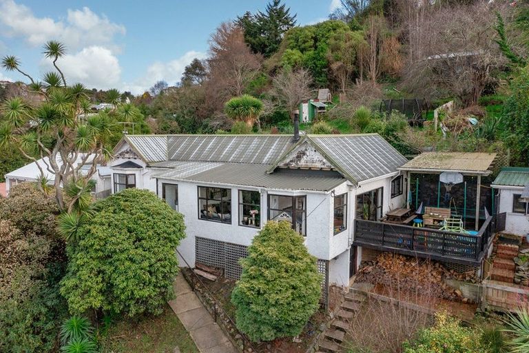 Photo of property in 56 Peter Street, Caversham, Dunedin, 9012