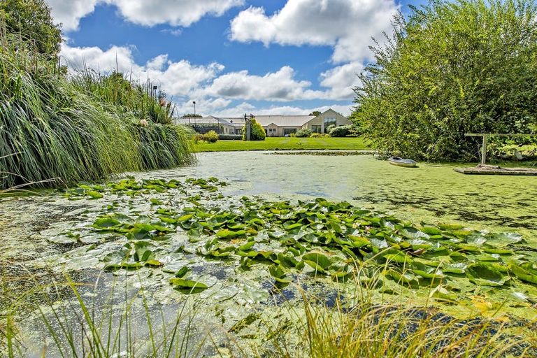 Photo of property in 199 Mount Thomas Road, Fernside, Rangiora, 7471