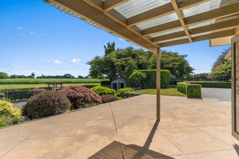 Photo of property in 303 Parallel Road, Ohaupo, Cambridge, 3495