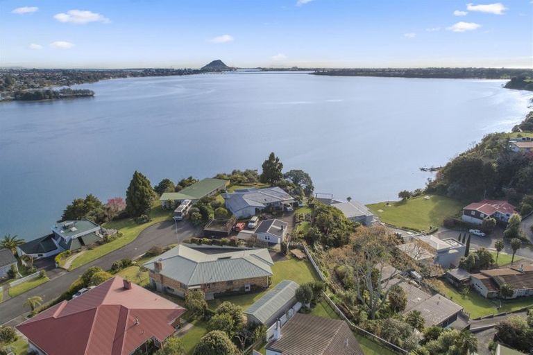 Photo of property in 39 Vine Avenue, Maungatapu, Tauranga, 3112