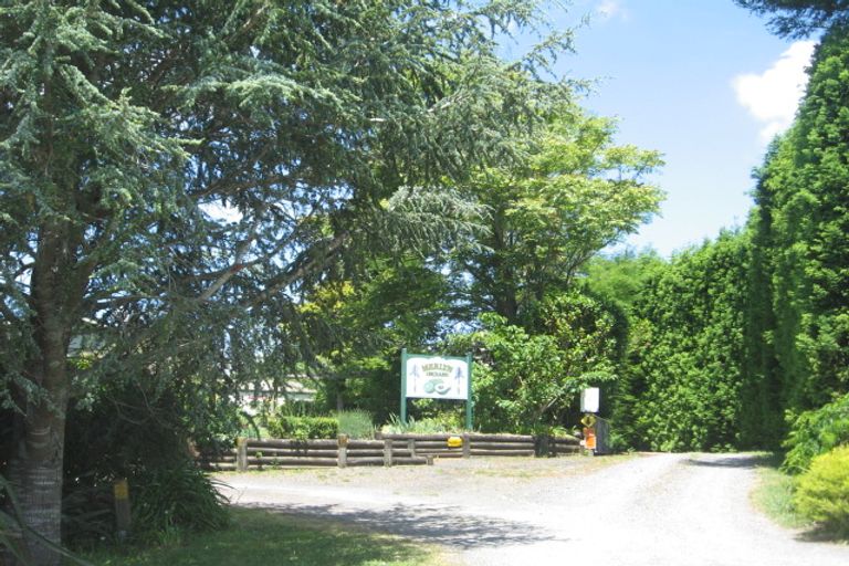 Photo of property in 45a Winroy Grove, Tahawai, Katikati, 3170