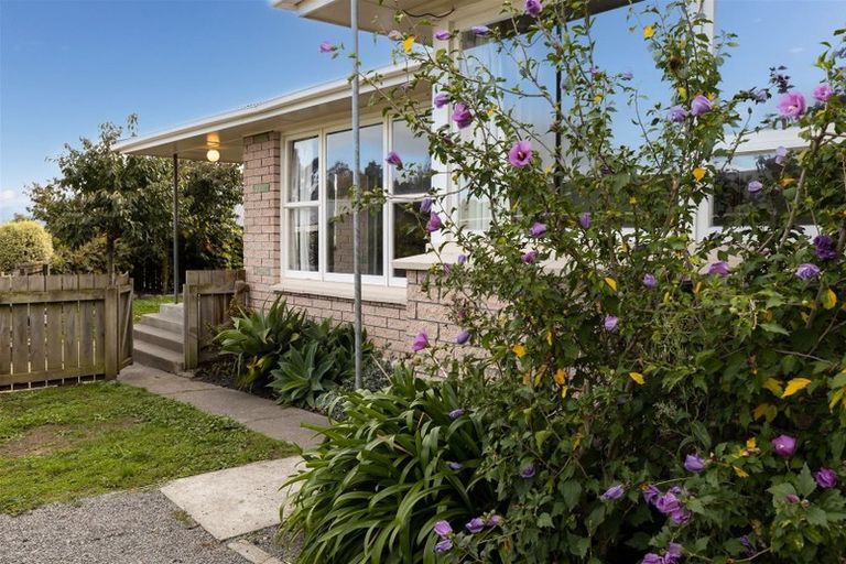 Photo of property in 8 High Street, Renwick, 7204