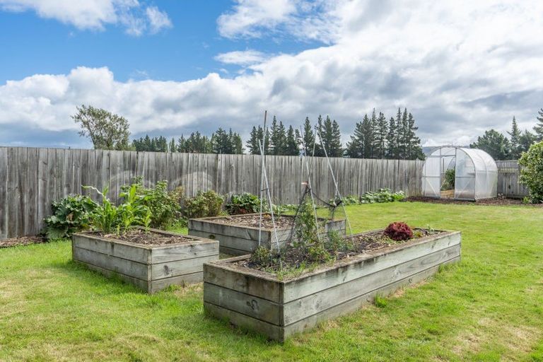 Photo of property in 61 Murray Street, Kew, Dunedin, 9012