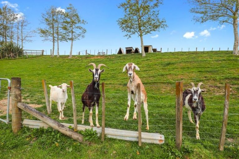 Photo of property in 10 Josephine Place, Te Kauwhata, 3782