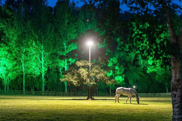 Photo of property in 35 Eucalyptus Way, Nikau Valley, Paraparaumu, 5032