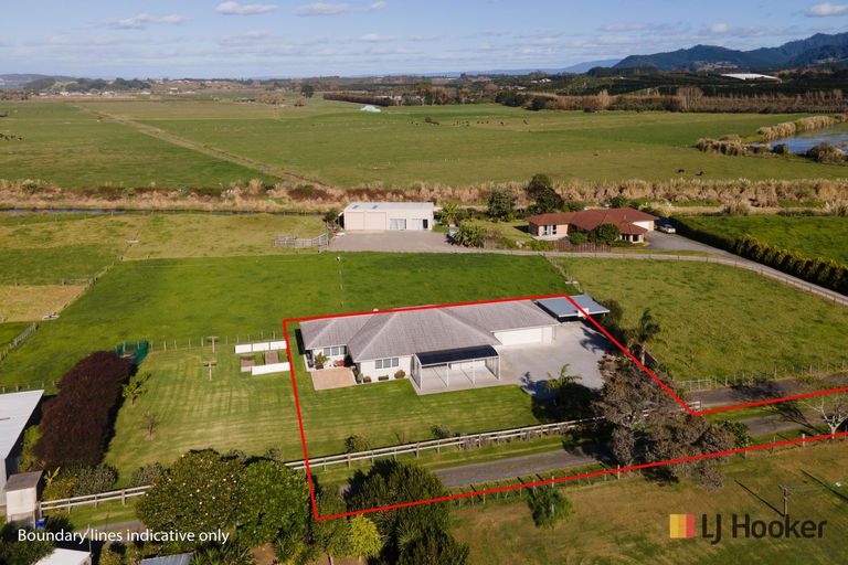 Photo of property in 99a Citrus Avenue, Waihi Beach, 3611