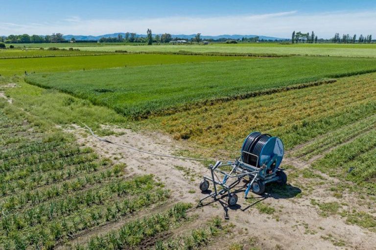 Photo of property in 75 Bealey Road, Leeston, 7683