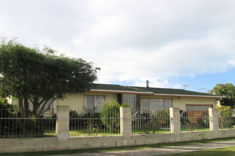 Photo of property in 24 Skerrett Crescent, Tamatea, Napier, 4112